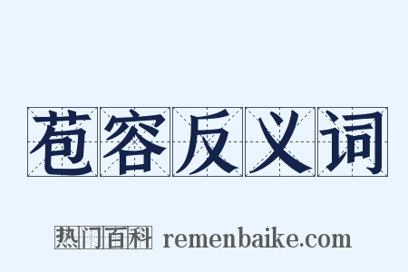 苞容反义词是什么意思的图片